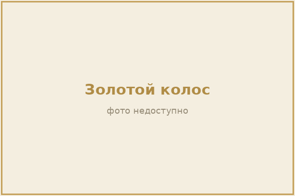 Новогоднее 2